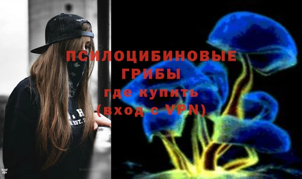 гашик Армянск