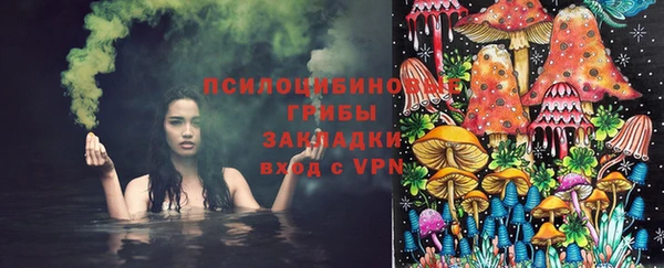 герыч Аркадак