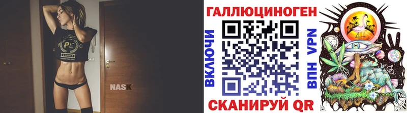 где найти   Белозерск  kraken как войти  Галлюциногенные грибы мицелий 